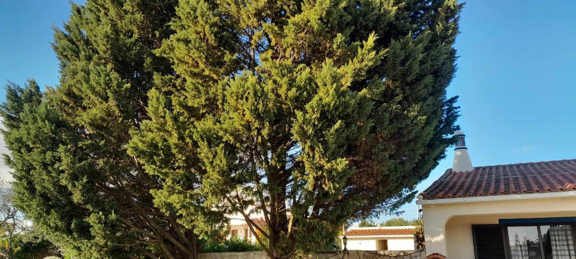 Vakantiehuis Casa Joaquina Carvoeiro (Lagoa)
